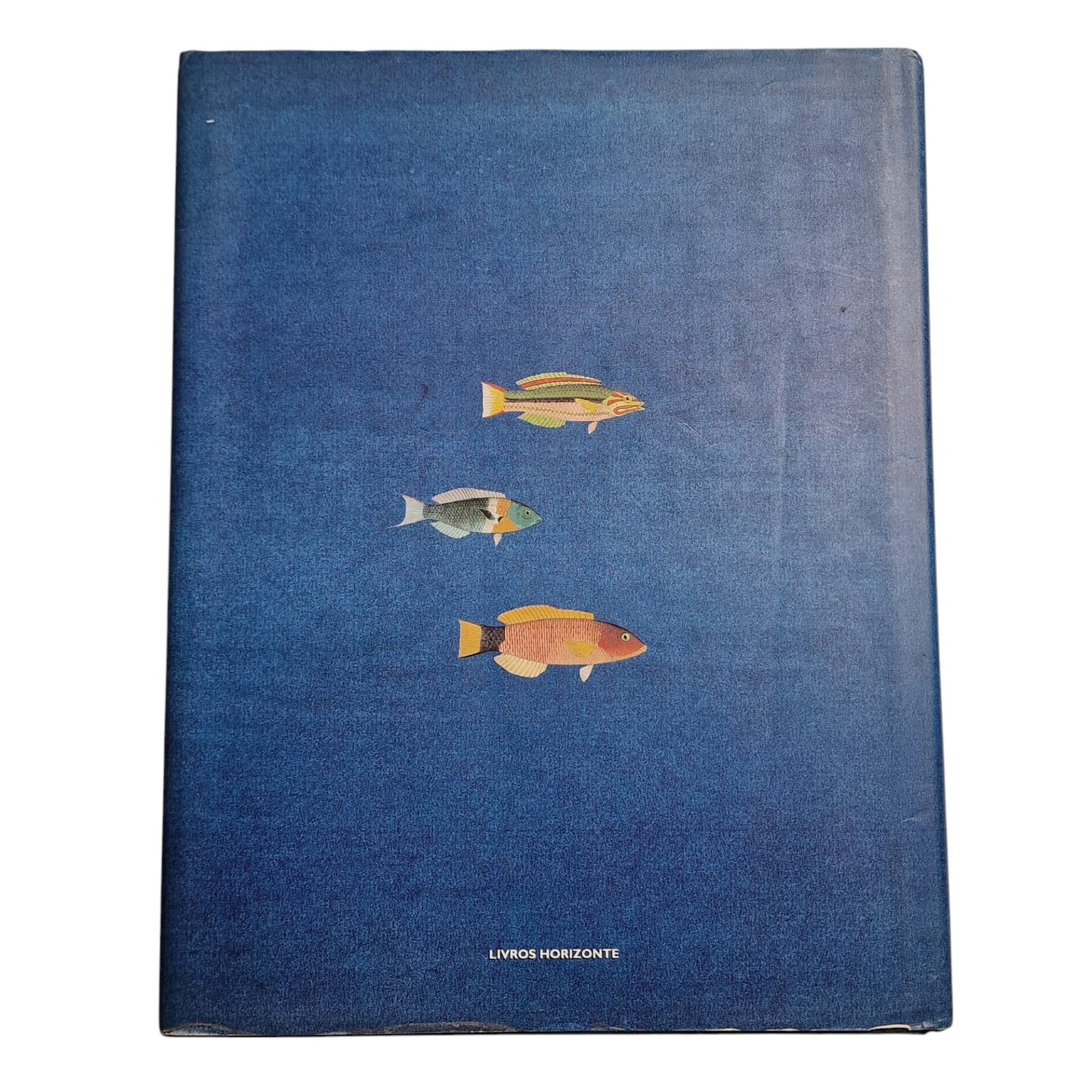 Peixes do Mundo: Uma Coleção de Ilustrações do Século XIX – Hiroshi Aramata (1994)