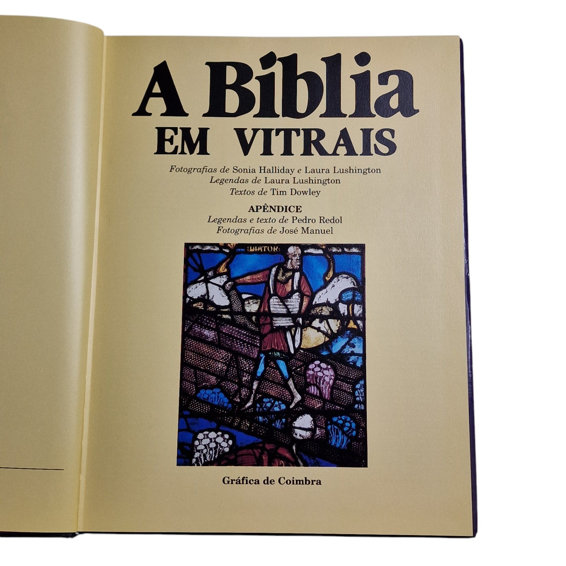 A Bíblia em Vitrais – Tim Dowley (1995)
