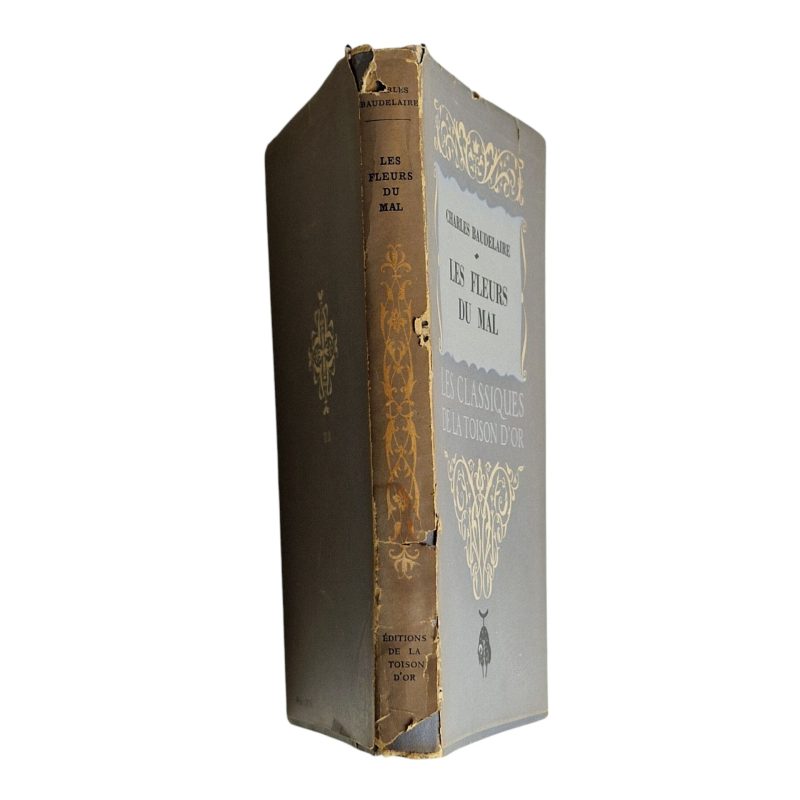 Les Fleurs du Mal – Charles Baudelaire (nº 7)
