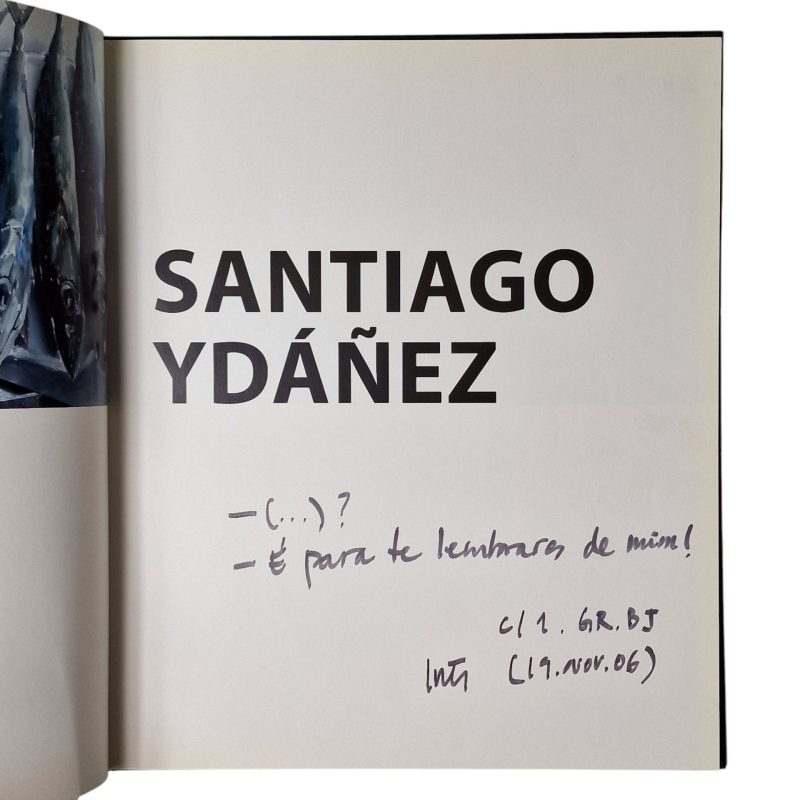 Santiago Ydáñez – Galeria Fernando Santos (2006)