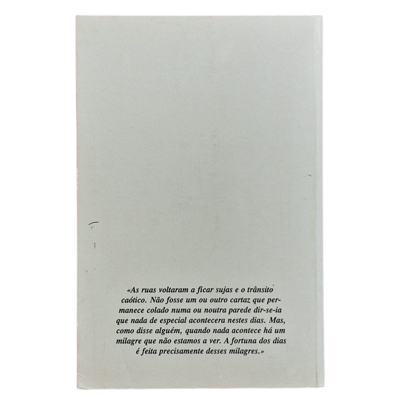 A Fortuna dos Dias – José Vicente Lopes (2007)