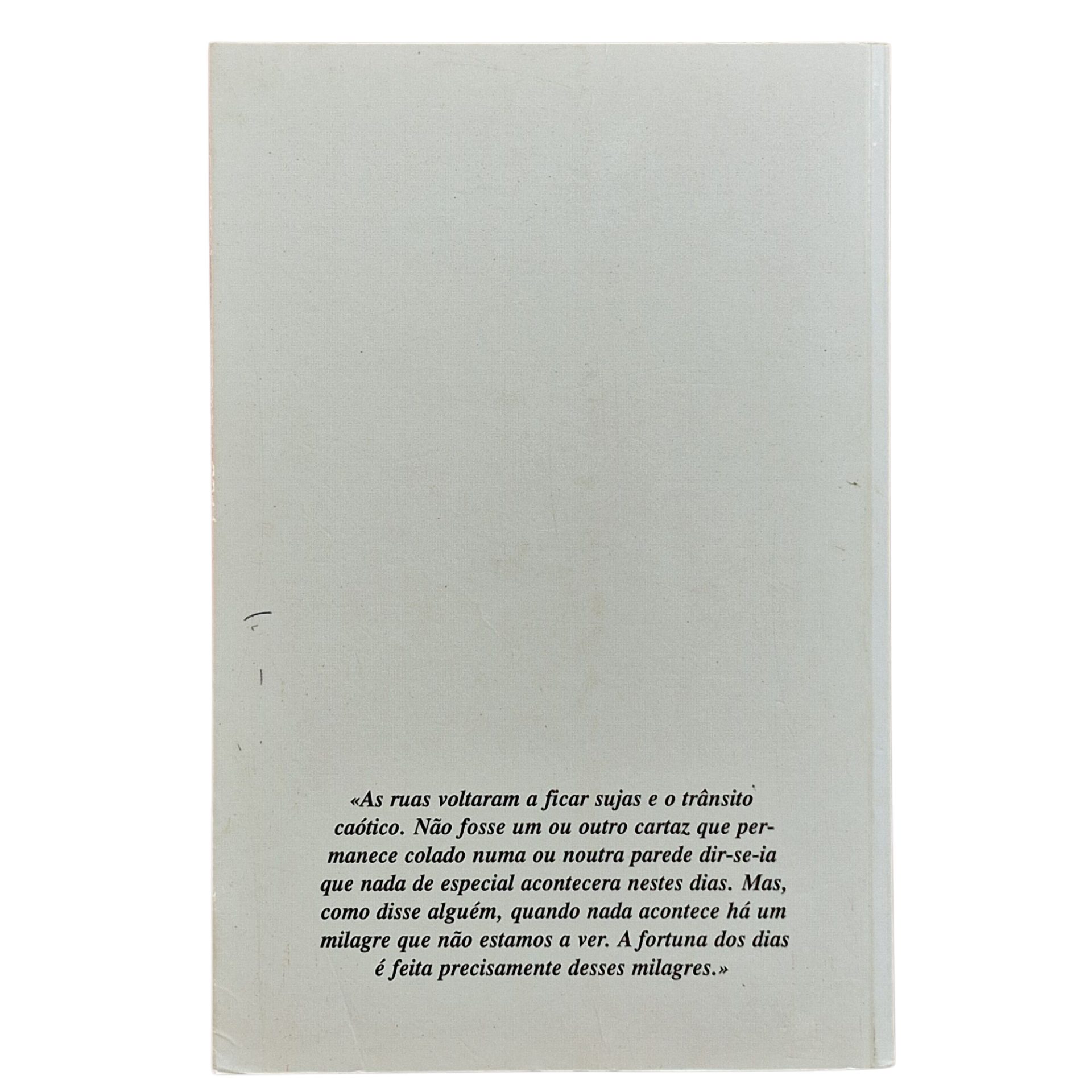 A Fortuna dos Dias – José Vicente Lopes (2007)