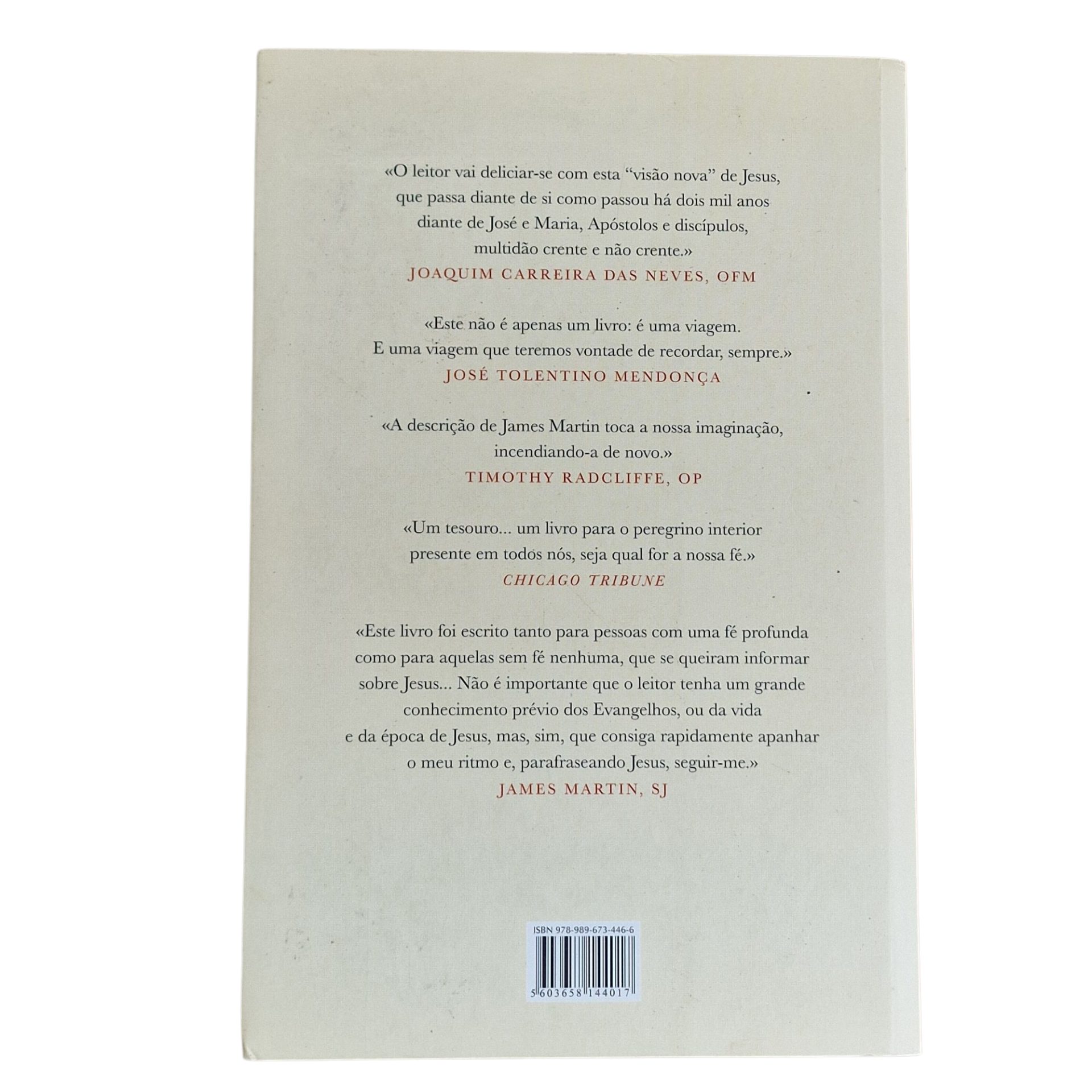 Jesus: Um Encontro Passo a Passo – James Martin (2014)